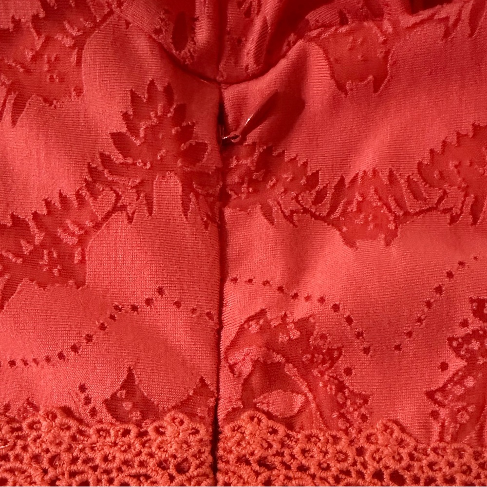 Farm Rio Anthropologie Devore Coral Pink Orange Lace Maxi Dress Size Small - Picture 14 of 15